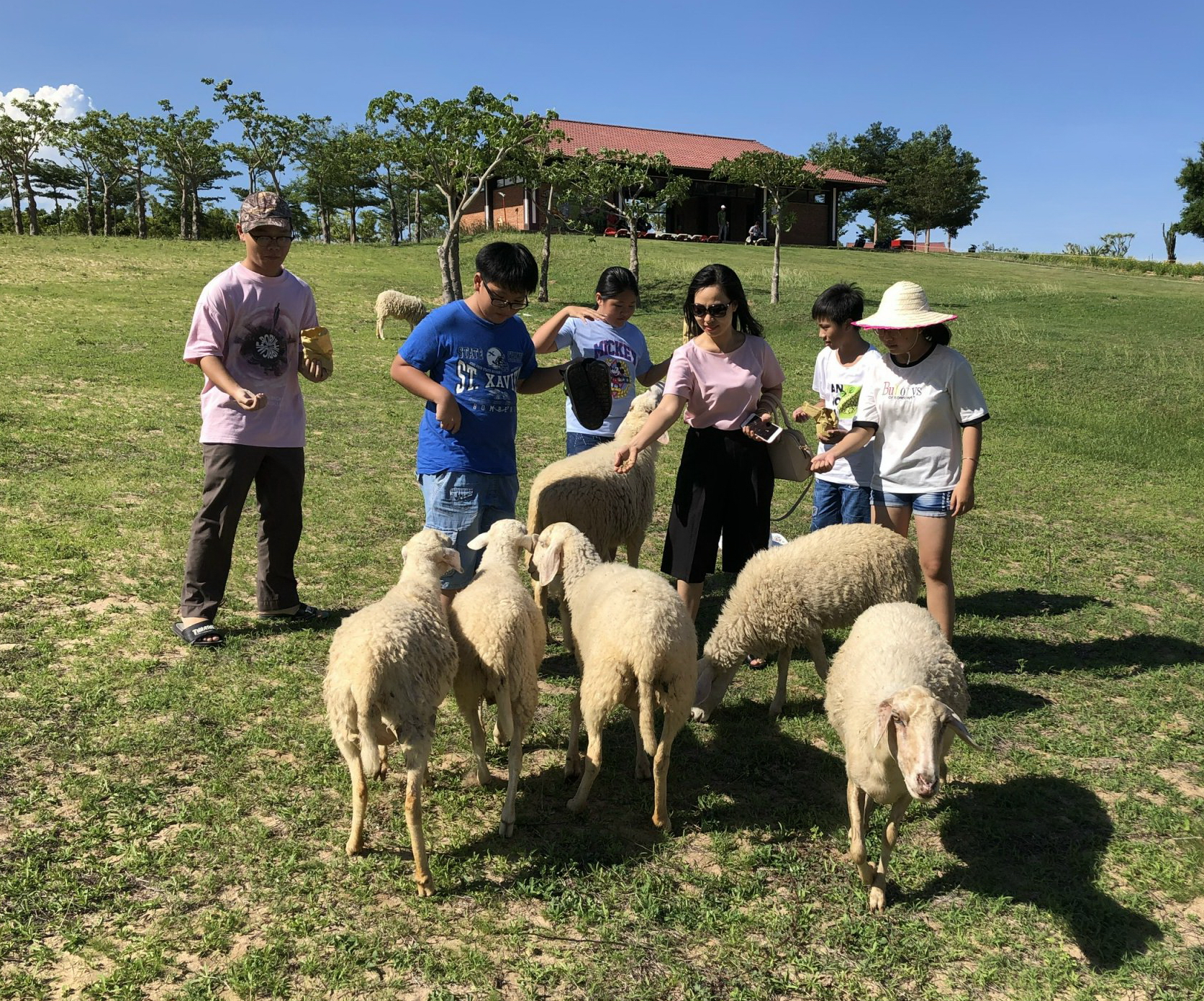 Du khách đến Ninh Thuận thích chăn cừu trên thảo nguyên xanh, tối ngủ lều Mông Cổ, sáng lặn biển ngắm san hô  - Ảnh 2.