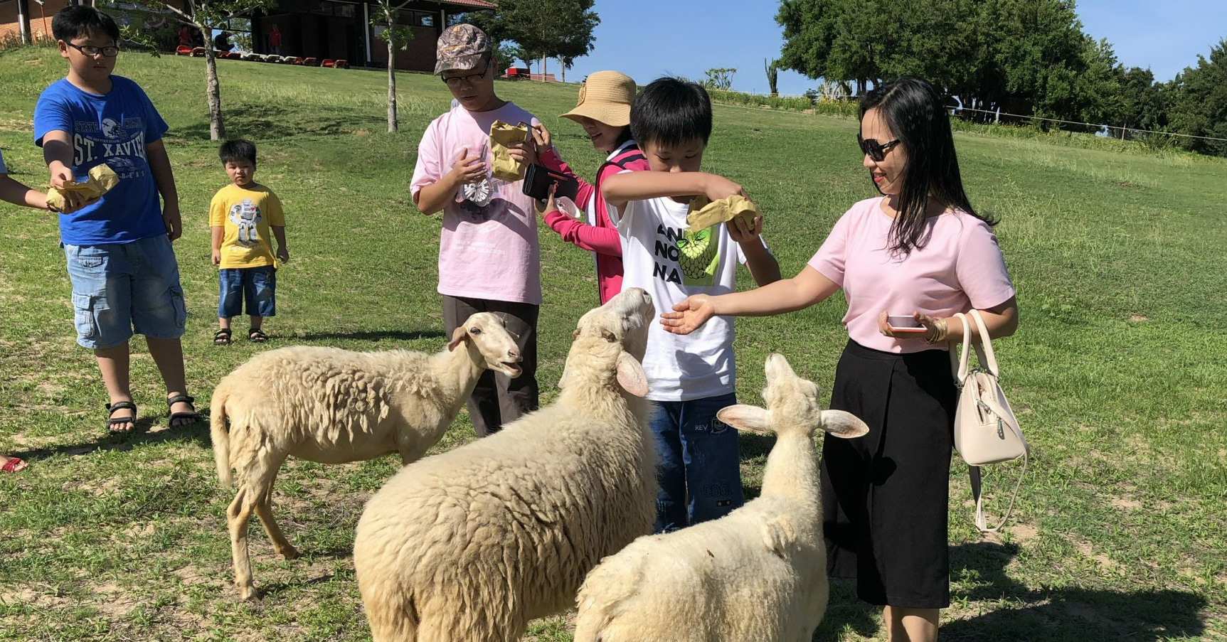 Ninh Thuan tourism enjoys herding sheep on the green steppe, sleeping in Mongolian tents at night, scuba diving to see corals