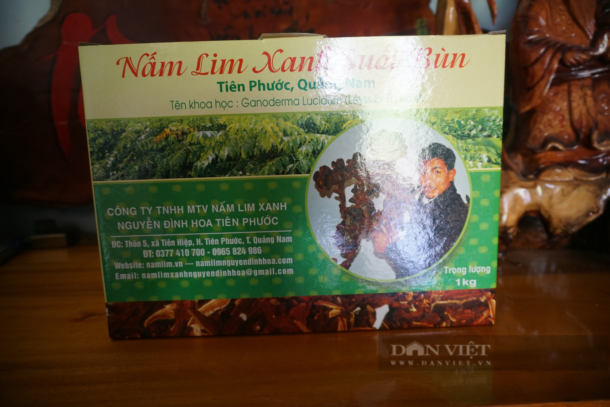 Chuyện lạ Quảng Nam: Vườn trồng toàn cây gỗ quý, ông nông dân chỉ hái nấm mà thu lãi nửa tỷ đồng - Ảnh 6.