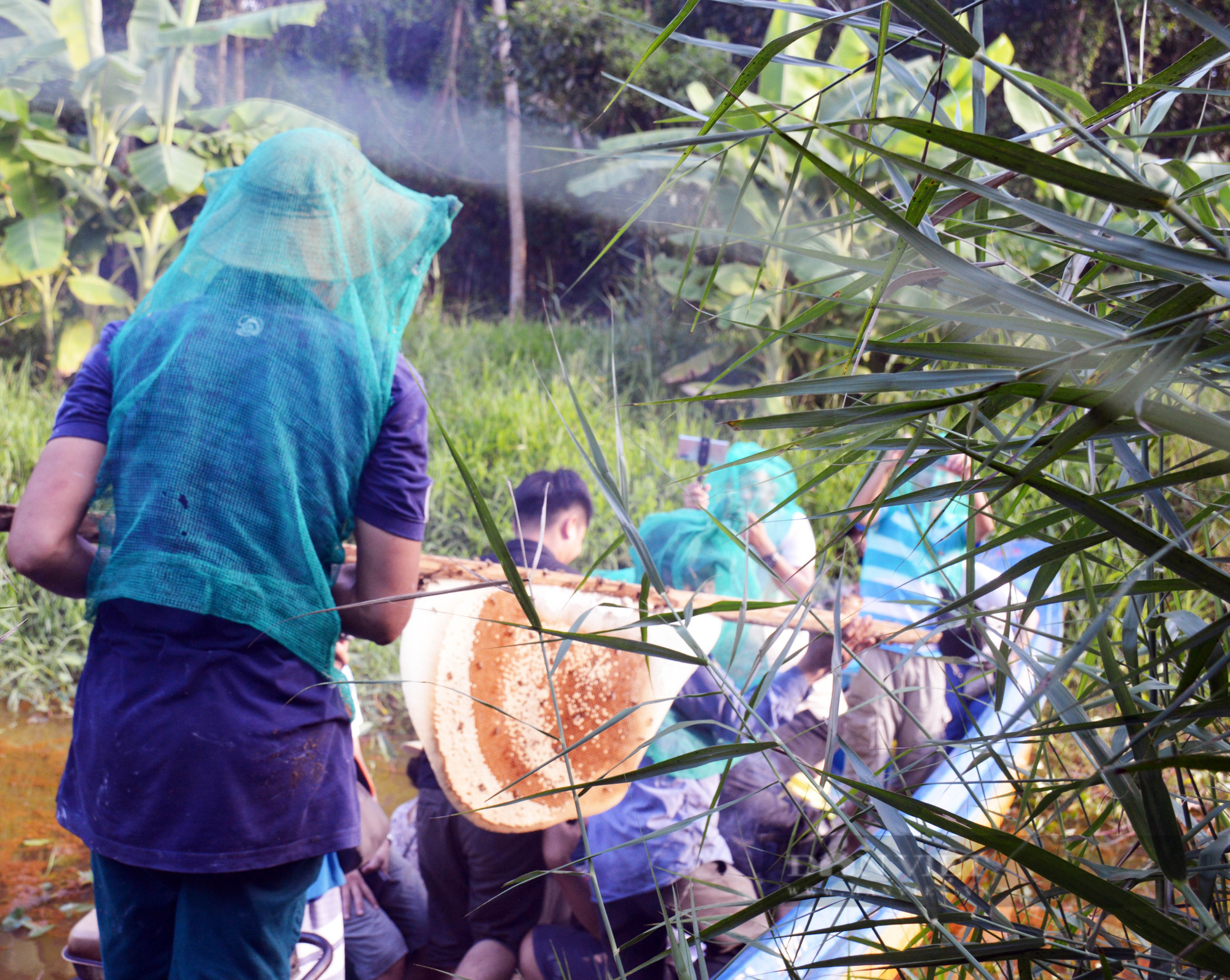 Hương rừng U Minh với những hoạt động “đặc sản” được du khách chào đón - Ảnh 3.