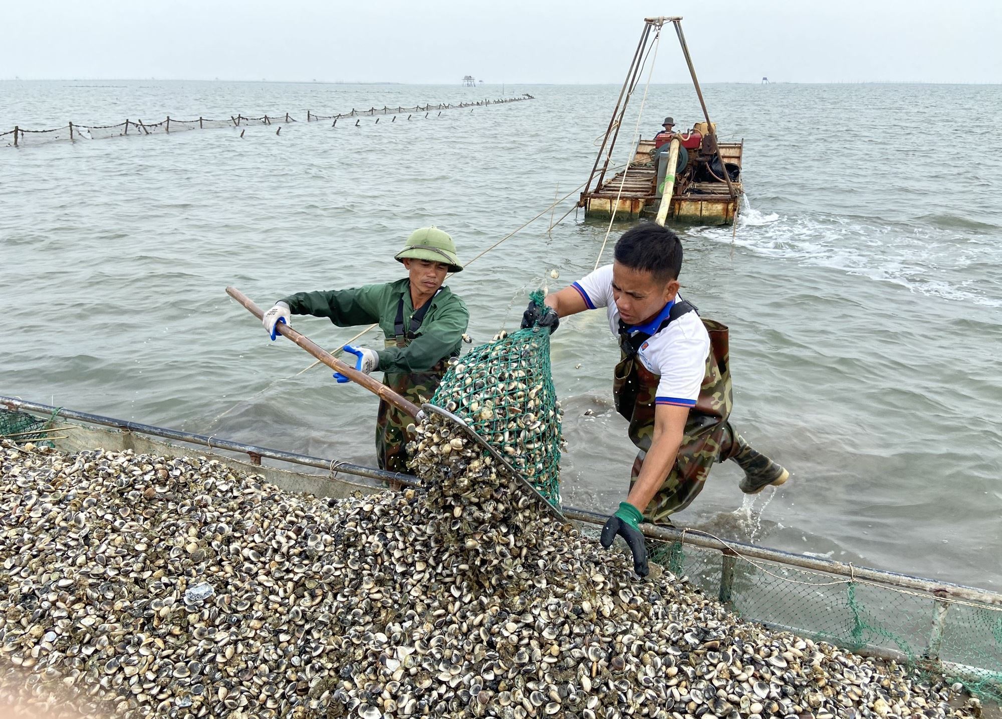 Phát triển nuôi trồng thủy sản ven biển bền vững: Thách thức và cơ hội - Ảnh 7.