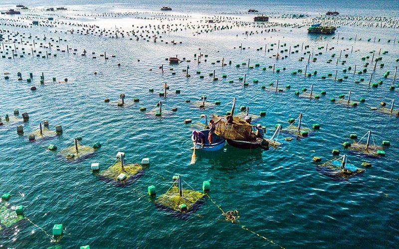 Phát triển nuôi trồng thủy sản ven biển bền vững: Thách thức và cơ hội - Ảnh 1.