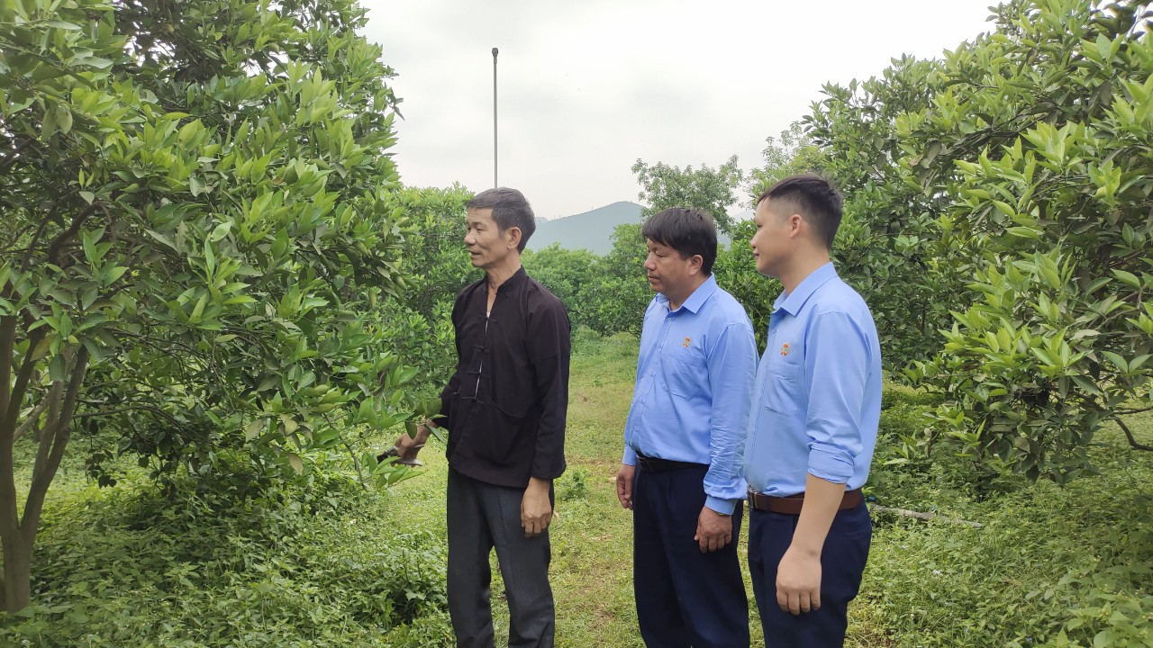 Tâm tư, kiến nghị gửi Thủ tướng: Chủ vườn cam đặc sản mong đường từ Sơn La về Hà Nội chỉ còn 2 giờ - Ảnh 1.