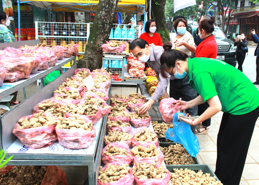 Hà Giang: Hội Nông dân tổ chức chương trình hỗ trợ tiêu thụ gừng Đồng Văn và hành tỏi Kinh Môn - Ảnh 1.