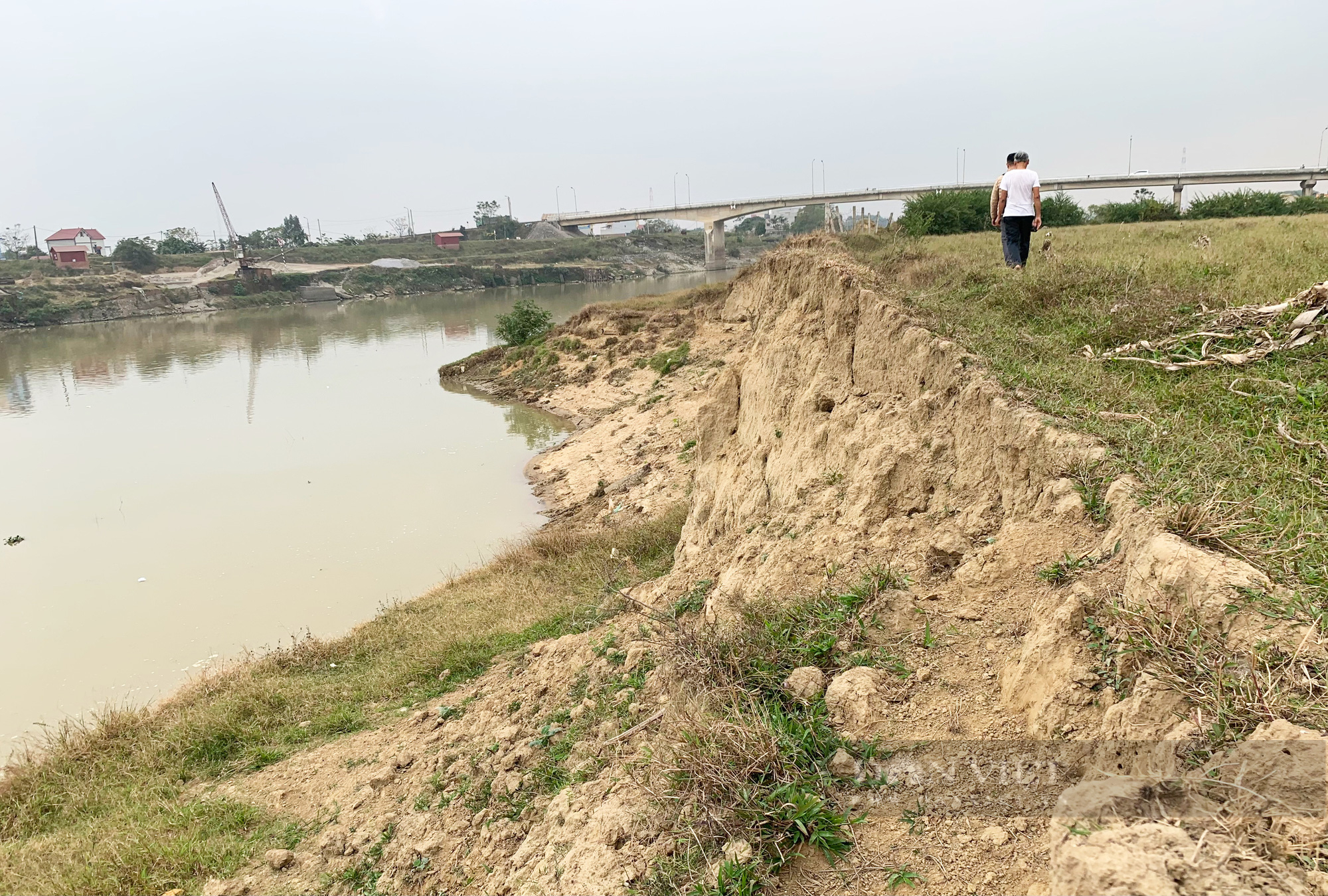 Bắt giữ &quot;cát tặc&quot;, 4 nông dân vướng lao lý - Ảnh 1.