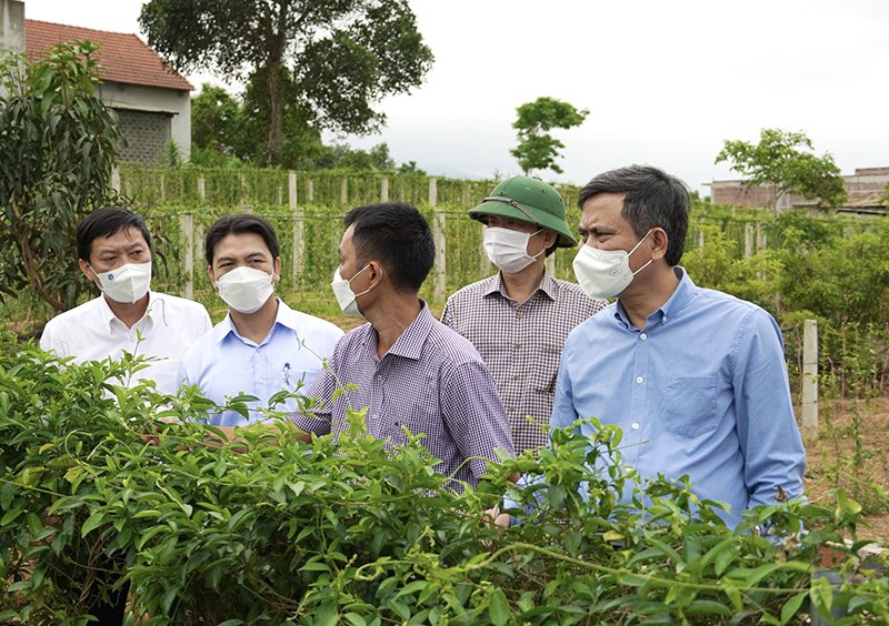 Chủ tịch UBND tỉnh Quảng Bình đến tận hồ tôm, vườn cây thìa canh định hướng cách làm cho nông dân - Ảnh 1.