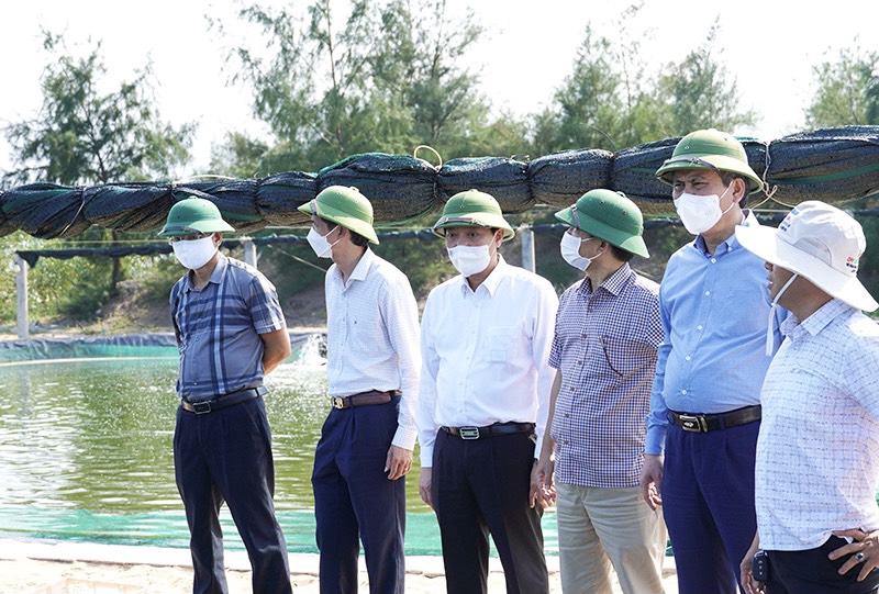 Chủ tịch UBND tỉnh Quảng Bình đến tận hồ tôm, vườn cây thìa canh định hướng cách làm cho nông dân - Ảnh 3.