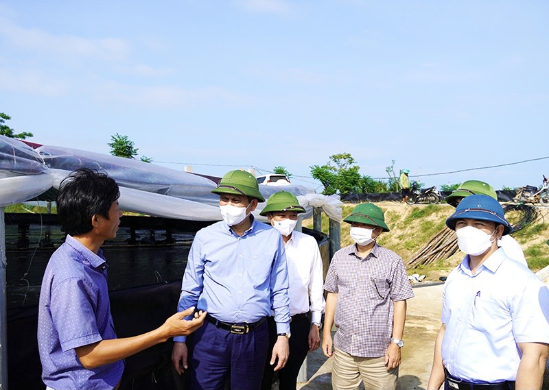 Chủ tịch UBND tỉnh Quảng Bình đến tận hồ tôm, vườn cây thìa canh định hướng cách làm cho nông dân - Ảnh 5.