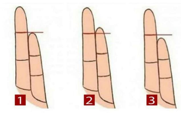 The length of your little finger determines your life