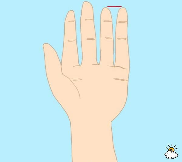 The length of your little finger determines your life - Photo 2.
