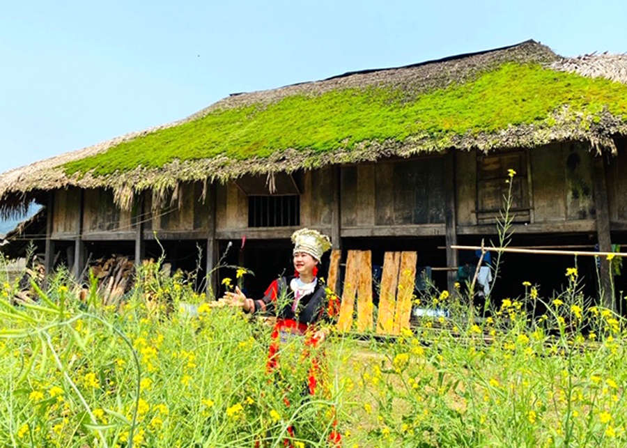 Vùng quê cổ tích Hà Giang, khách ta, người Tây đến chỉ đứng ngắm mái nhà không biết chán - Ảnh 2.