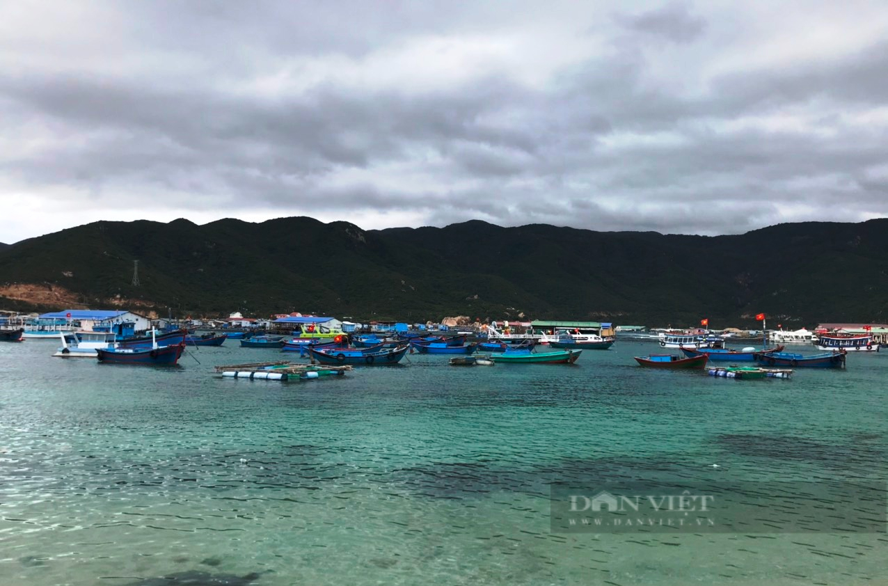 Khánh Hòa: Vì sao hai đảo nổi tiếng ở Bình Ba và Bình Hưng dừng hoạt động du lịch? - Ảnh 2.