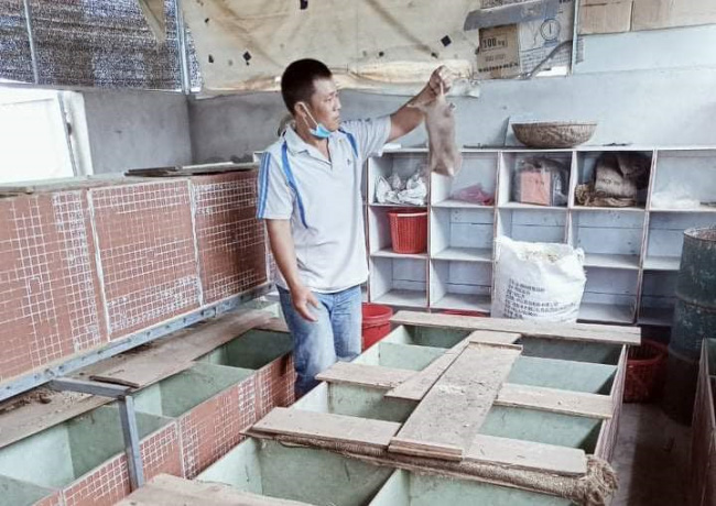 Tranh thủ nuôi loài thú đang hot này, anh trai làng ở Phú Yên bán làm thịt đặc sản giá 600.000 đồng/kg - Ảnh 1.