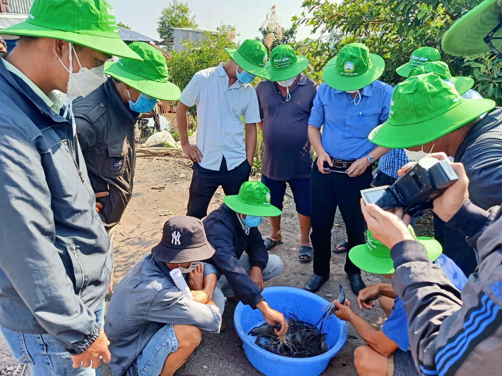 Nuôi thứ tôm toàn đực là đực, kéo lưới bắt lên nhiều người kéo đến nhà một ông nông dân Kiên Giang để xem - Ảnh 2.