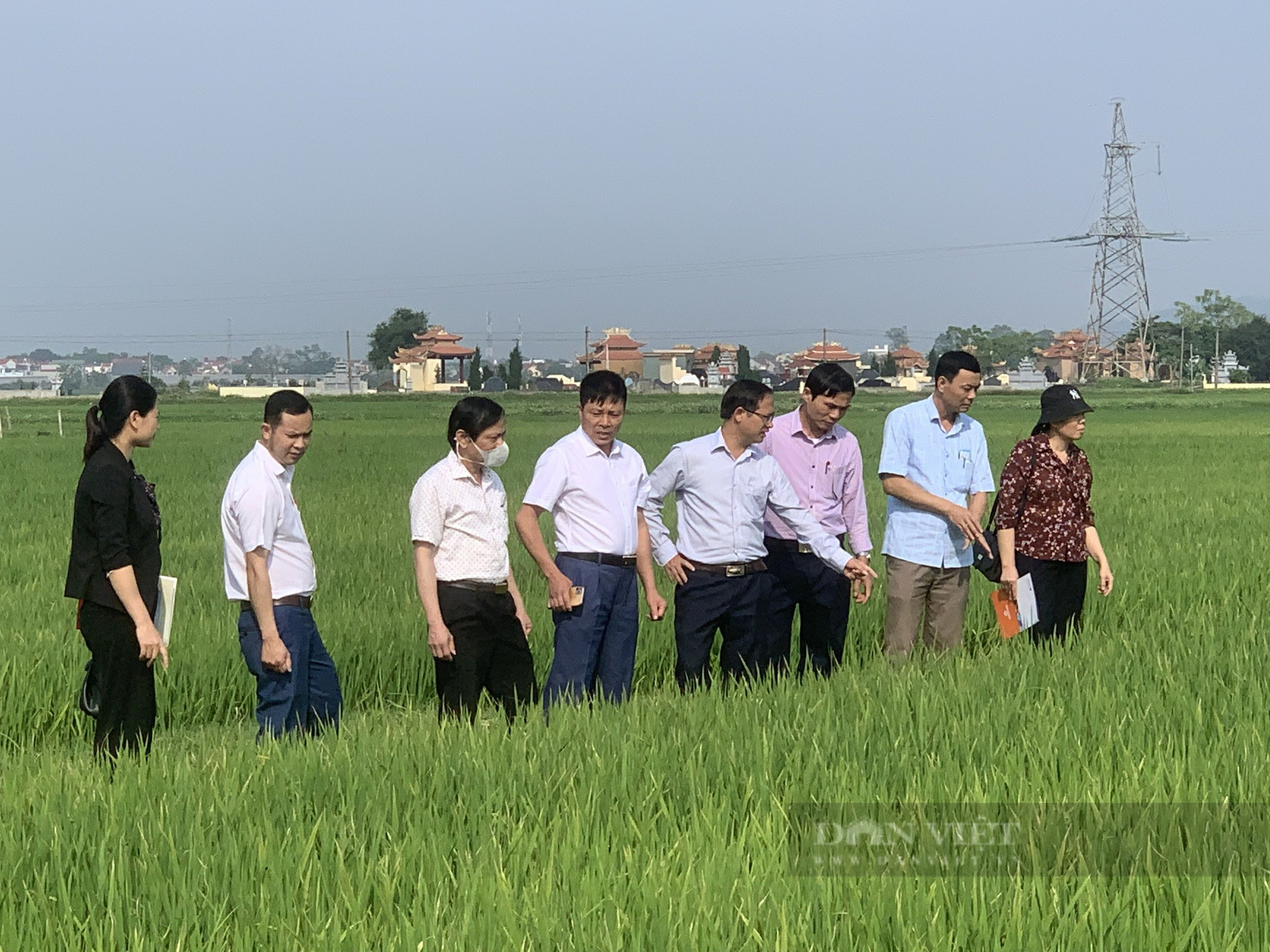 Liên kết với nông dân trồng lúa rồi đầu tư dây chuyền xay xát gạo, bất ngờ cho hiệu quả kinh tế cao - Ảnh 5.