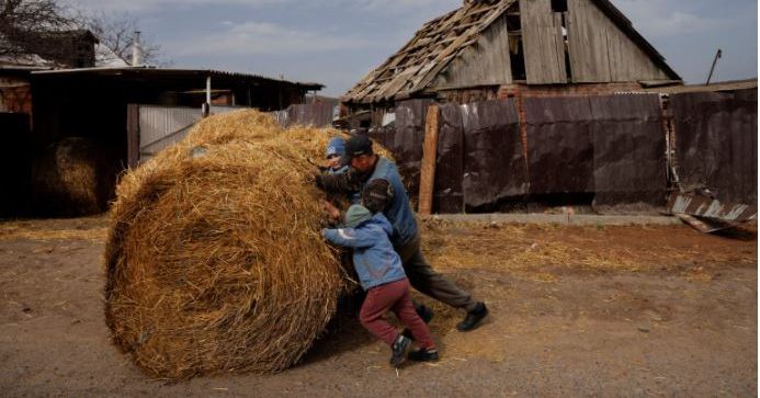 The war in eastern Ukraine has long-term consequences for global food security