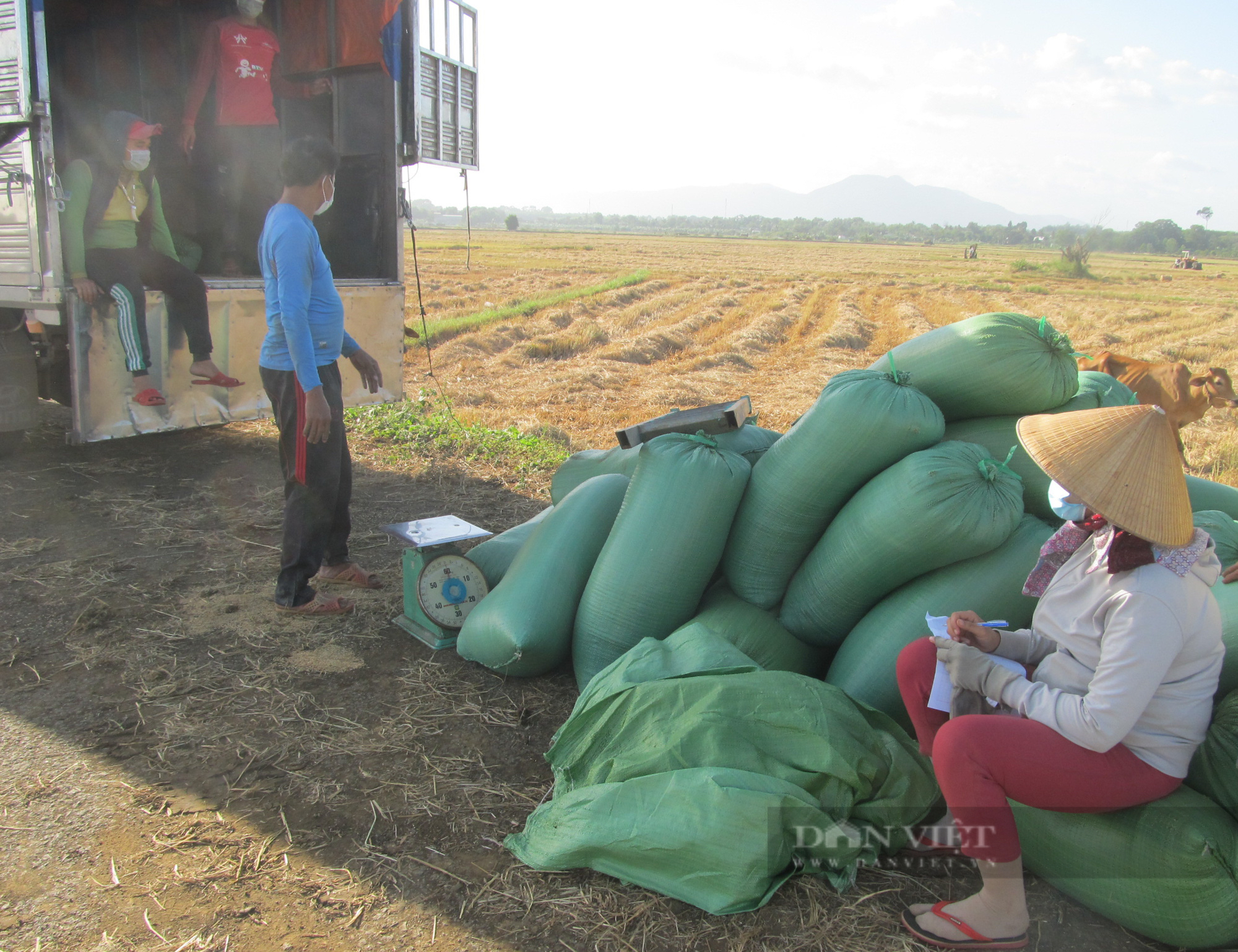 Tâm tư, kiến nghị gửi Thủ tướng: Nông dân “còng lưng” vì giá phân bón tăng, mong sớm bình ổn giá phân bón - Ảnh 4.