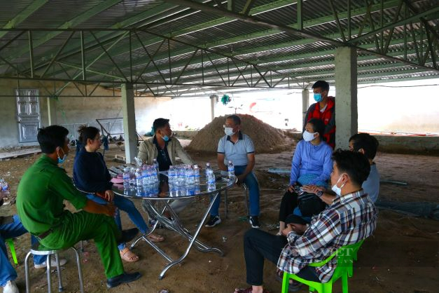 Nhận nuôi gà gia công cho công ty Japfa Comfeed Việt Nam, nhiều nông dân Ninh Thuận vỡ mộng - Ảnh 5.