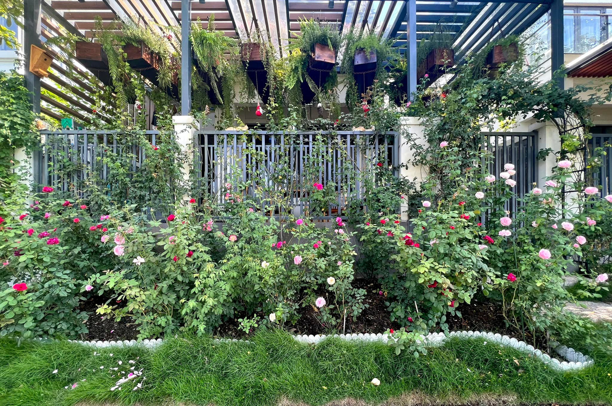 Nhà đẹp của MC Vân Hugo có vườn hồng đẹp như cổ tích, góc nào cũng sang chảnh - Ảnh 7.