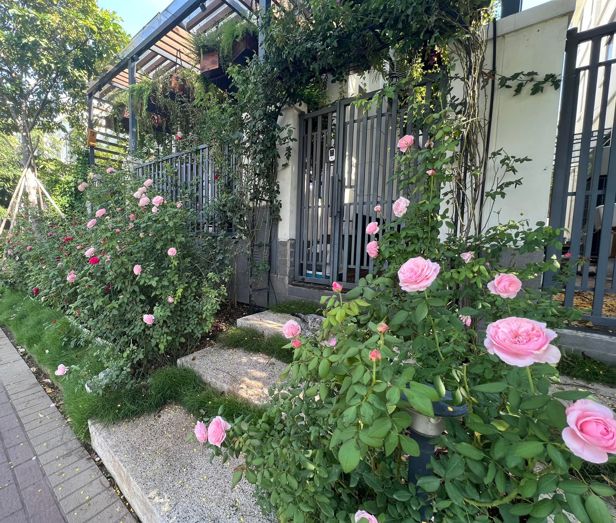 Nhà đẹp của MC Vân Hugo có vườn hồng đẹp như cổ tích, góc nào cũng sang chảnh - Ảnh 5.