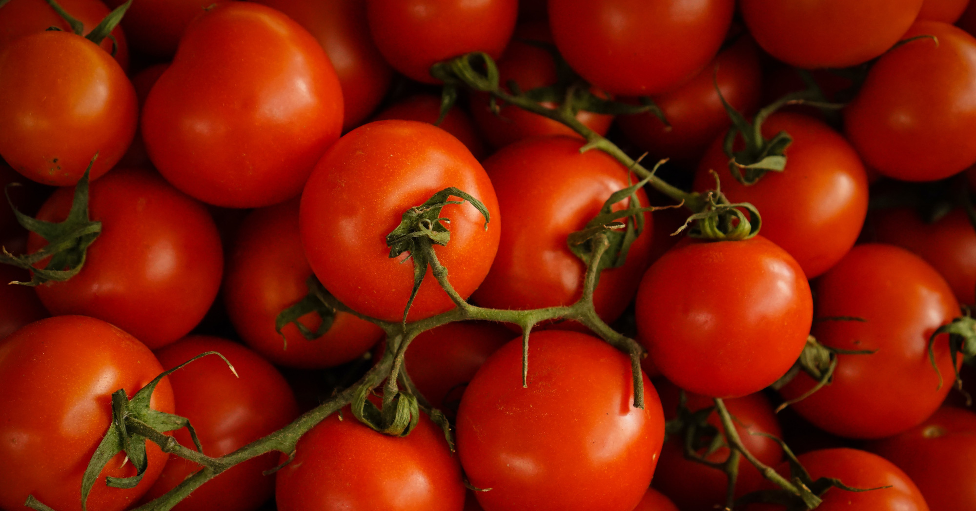 The secret to increasing collagen from tomatoes