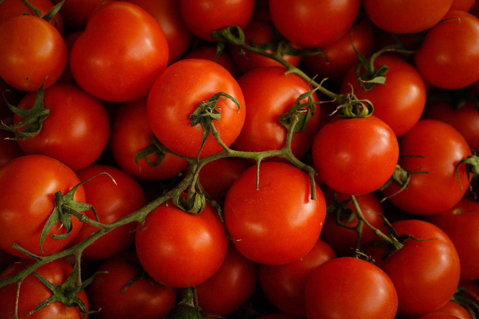 7 lợi ích &quot;đáng ngạc nhiên&quot; của cà chua bạn không nên bỏ qua - Ảnh 1.