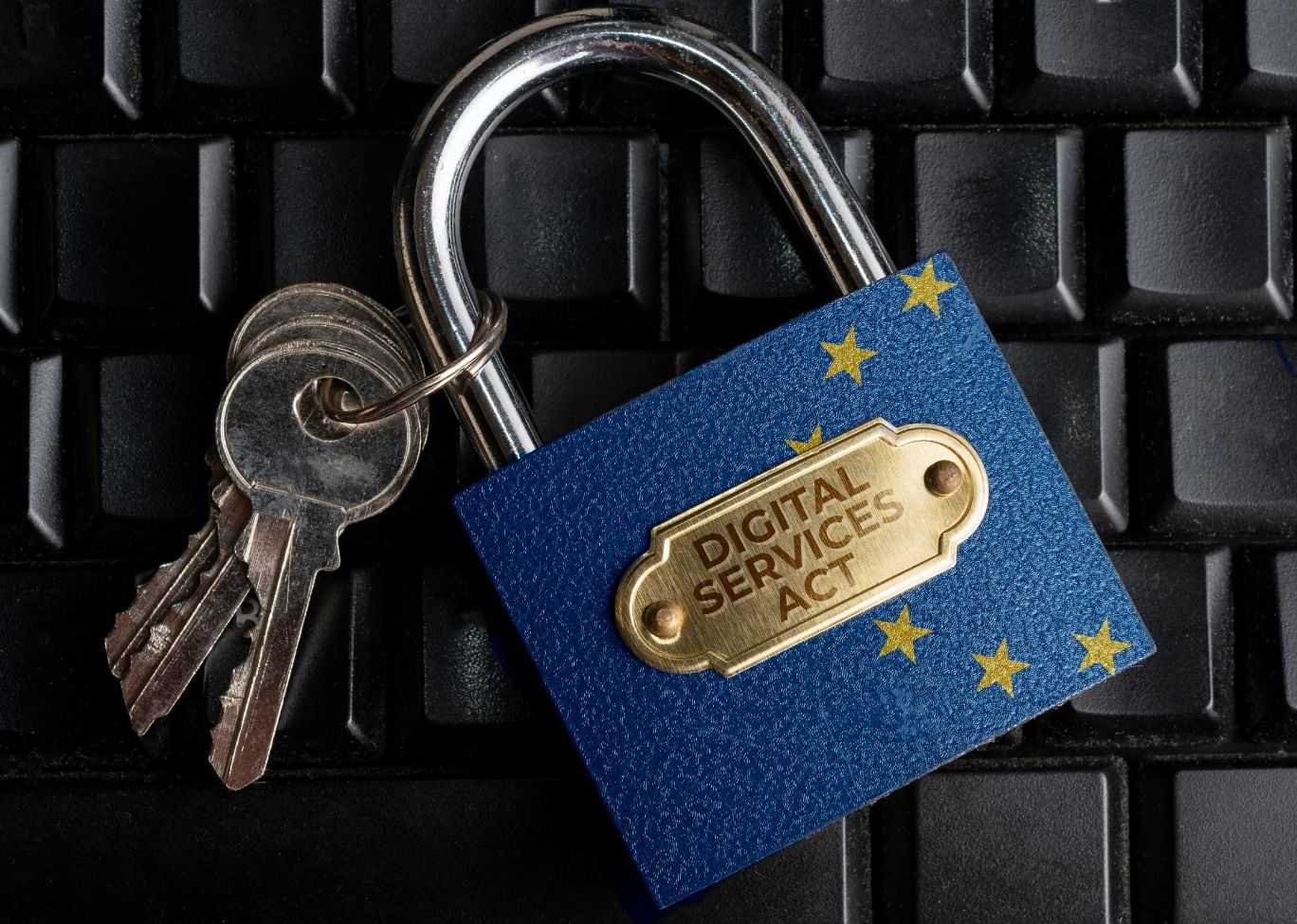 EU đồng ý về luật mang tính bước ngoặt nhằm buộc các công ty Big Tech xử lý nội dung bất hợp pháp. Ảnh: @AFP.