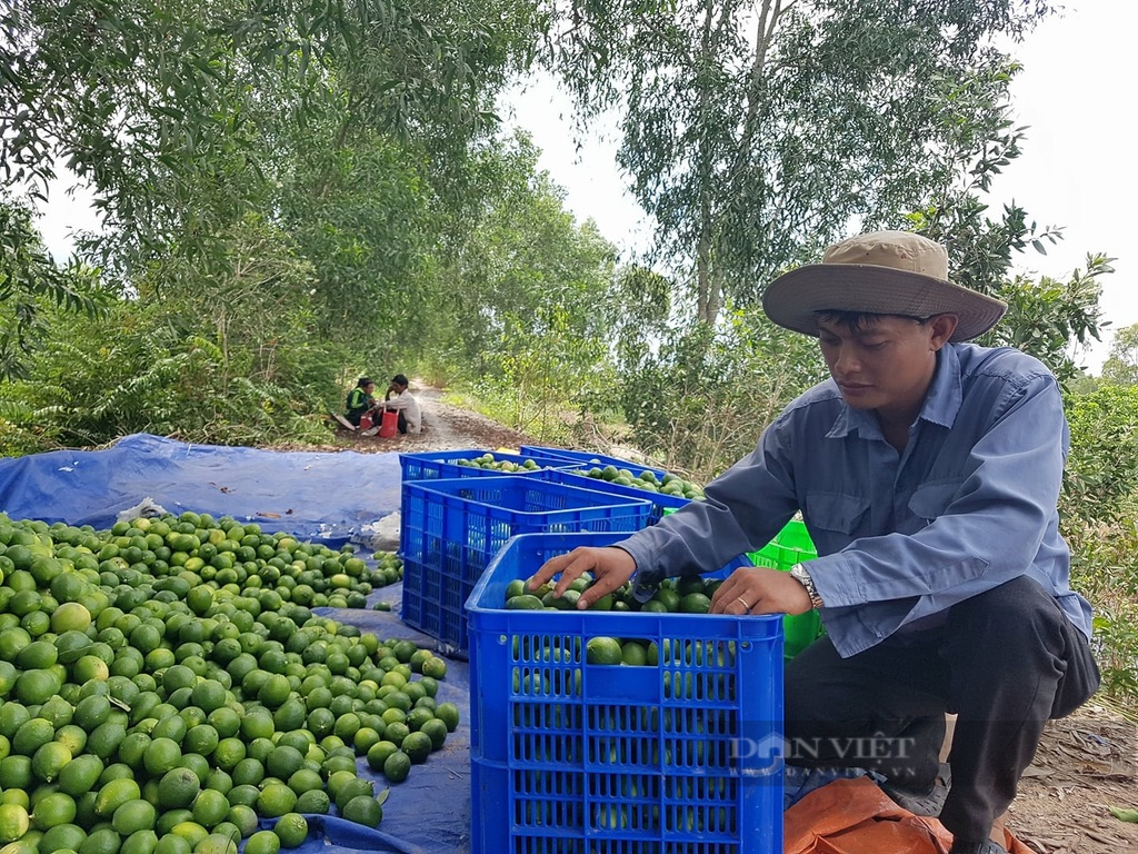 Làm gì để phát triển Đồng bằng sông Cửu Long thành nơi đáng sống ?   - Ảnh 2.