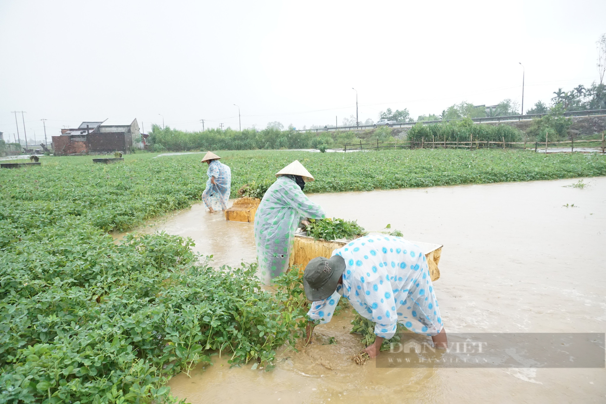 &quot;Nếu dự báo, cảnh báo sớm, đợt mưa trái mùa ở Nam Trung Bộ sẽ giảm thiểu thiệt hại&quot; - Ảnh 2.