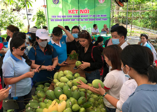 Thí điểm cho tiểu thương TP HCM mua hàng trực tiếp từ nhà vườn - Ảnh 1.