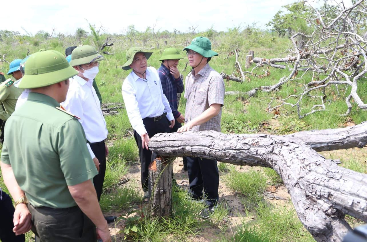 Vụ phá gần 400 ha rừng ở Đắk Lắk: Bắt tạm giam 28 đối tượng - Ảnh 2.