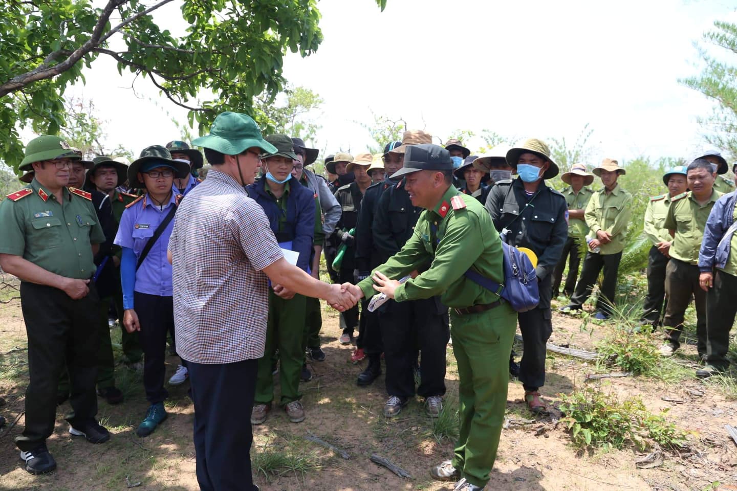 Bí thư Tỉnh ủy Đắk Lắk yêu cầu nhanh chóng điều tra, xử lý vụ phá gần 400 ha rừng - Ảnh 2.