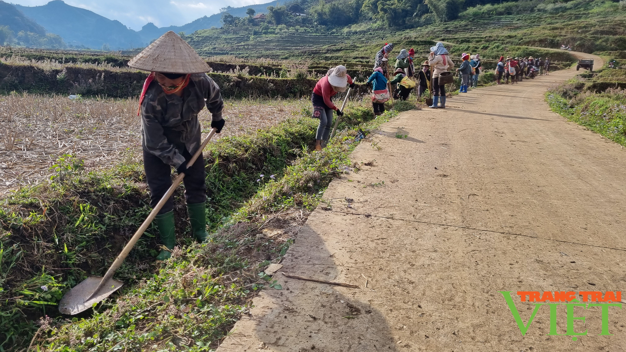 Chiềng Cọ: Đa dạng các mô hình phát triển kinh tế - Ảnh 7.