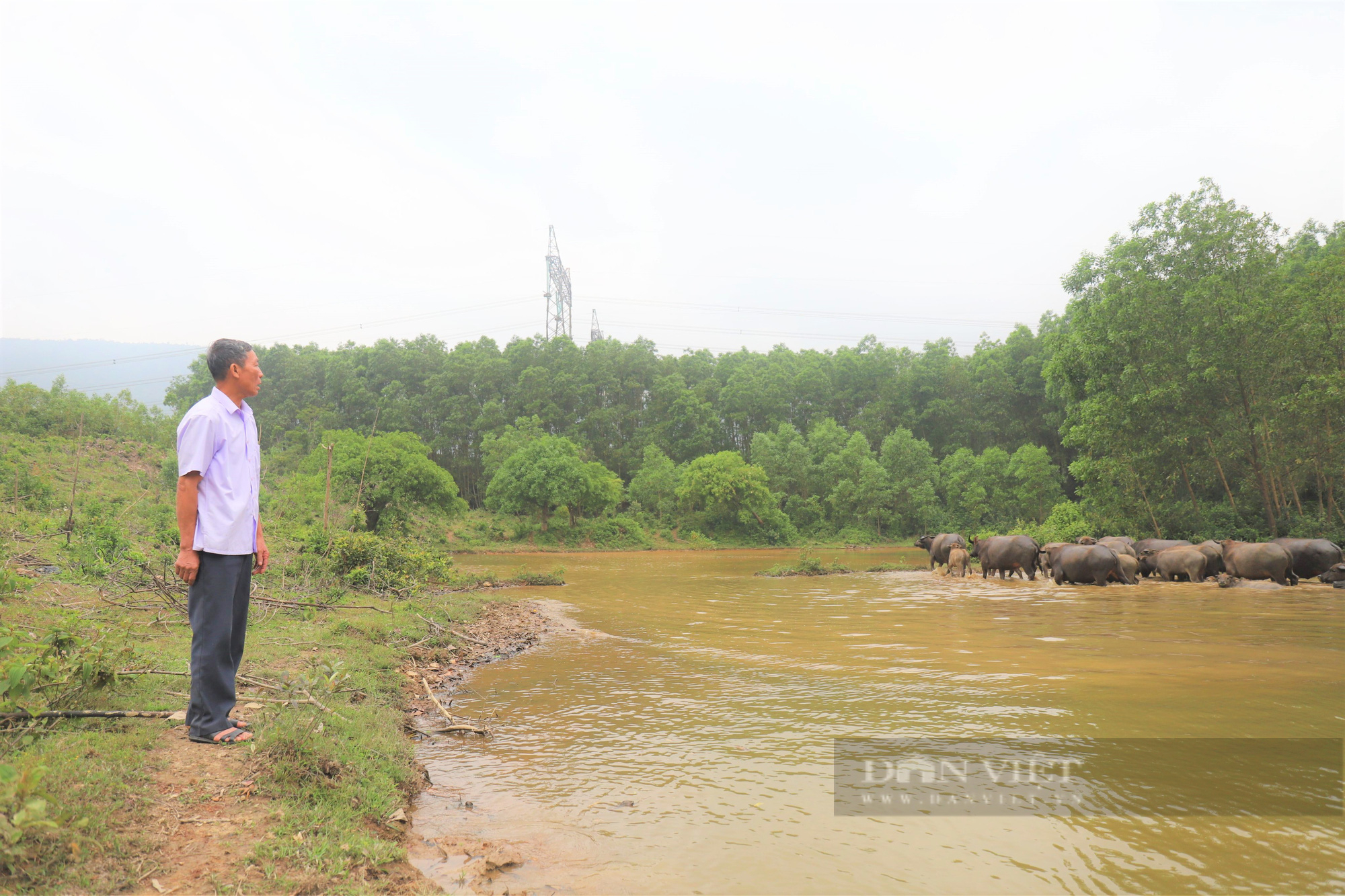 Hà Tĩnh: Nể phục thương binh cả làng cho là “khùng” biến đồi hoang thành trang trại thu về 1 tỷ đồng/năm - Ảnh 7.