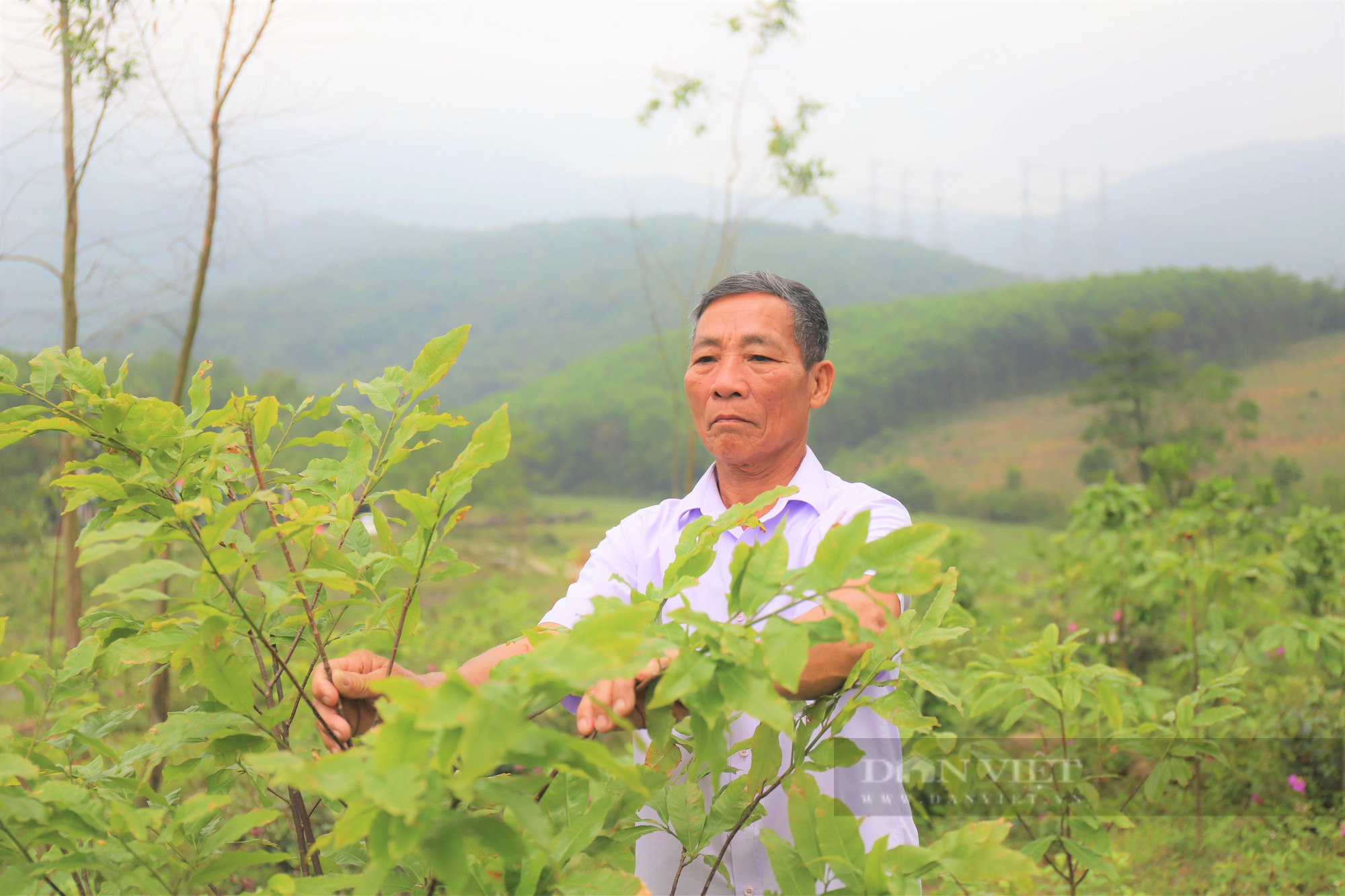 Hà Tĩnh: Nể phục thương binh cả làng cho là “khùng” biến đồi hoang thành trang trại thu về 1 tỷ đồng/năm - Ảnh 9.