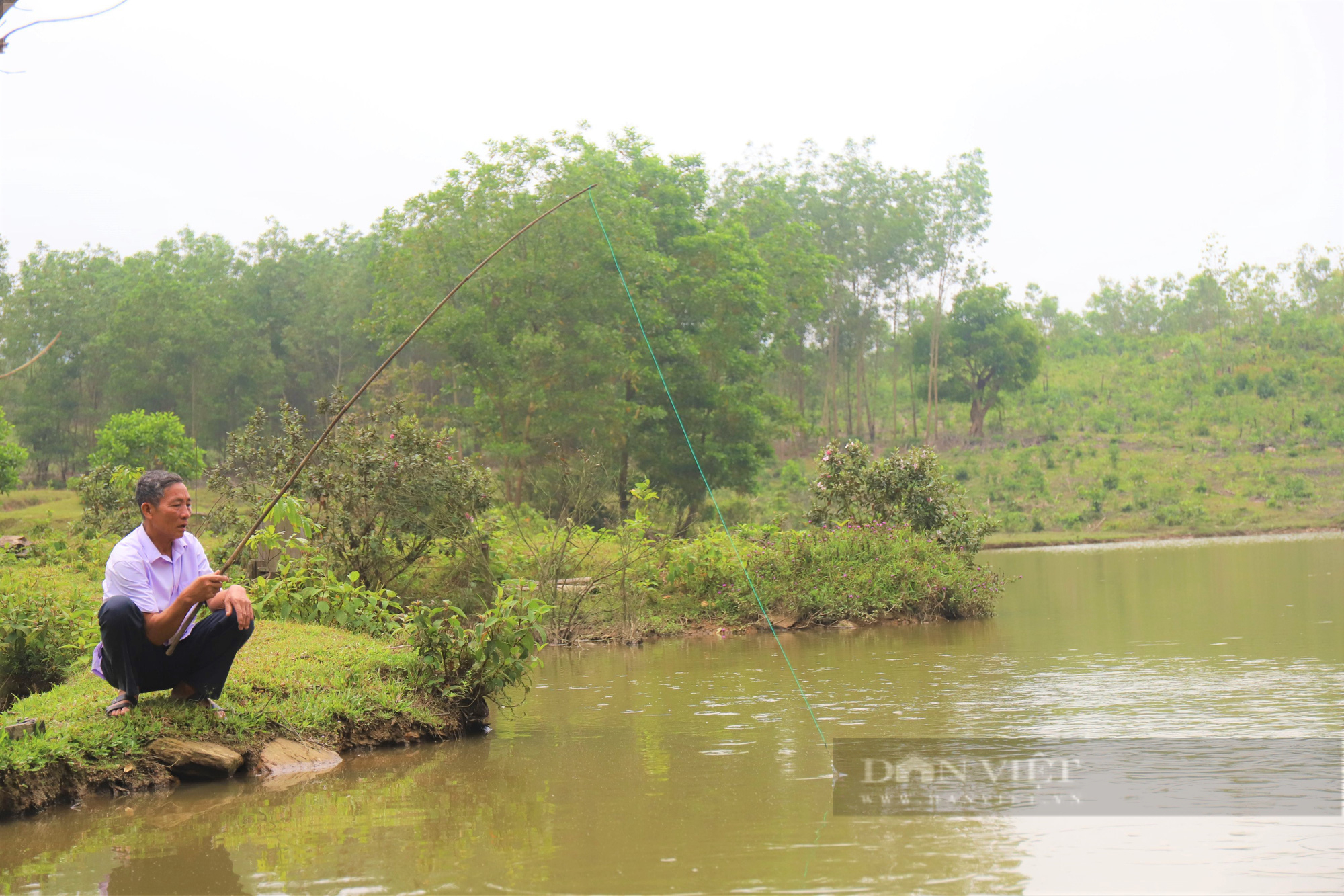 Hà Tĩnh: Nể phục thương binh cả làng cho là “khùng” biến đồi hoang thành trang trại thu về 1 tỷ đồng/năm - Ảnh 8.