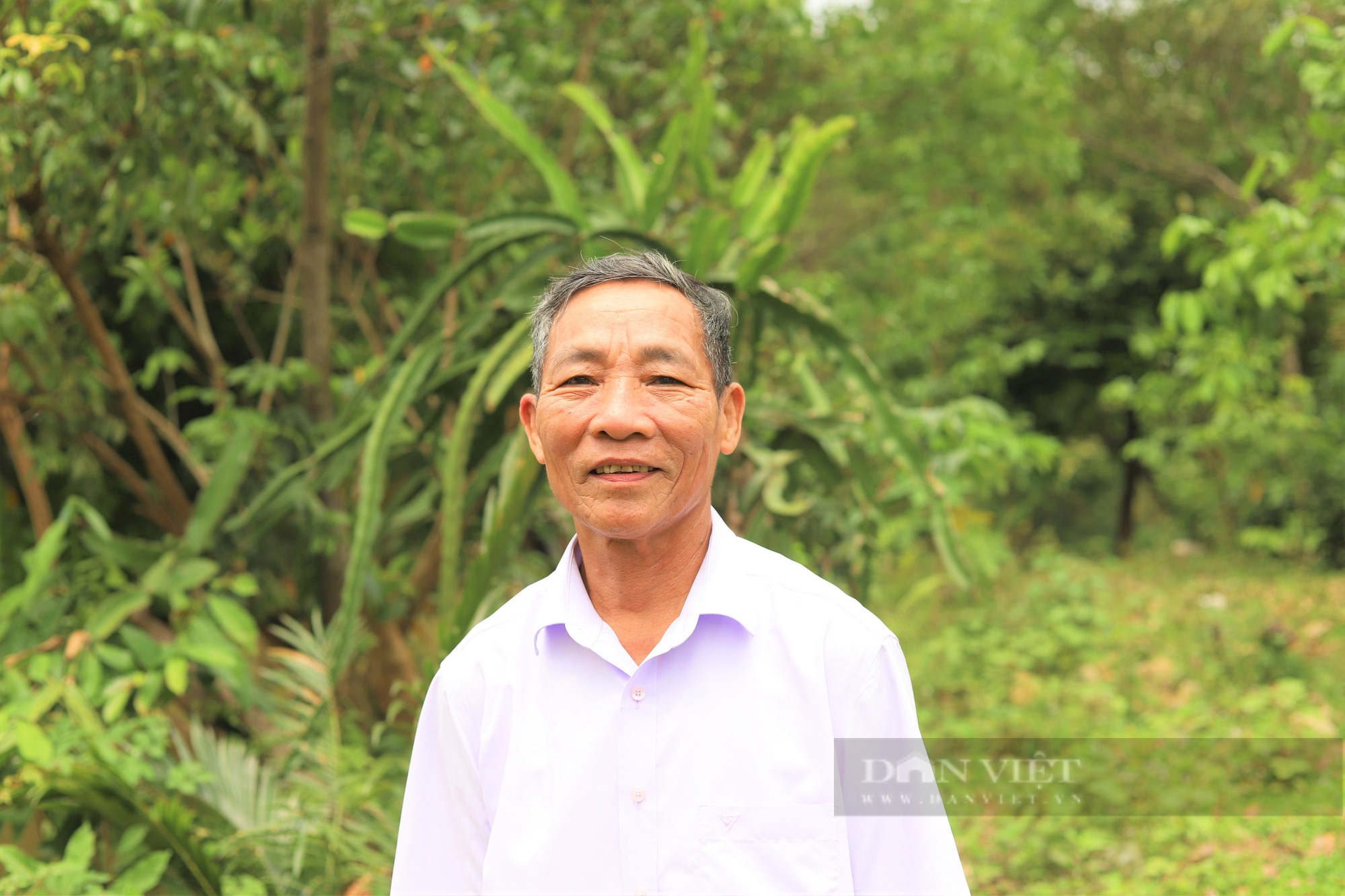 Hà Tĩnh: Nể phục thương binh cả làng cho là “khùng” biến đồi hoang thành trang trại thu về 1 tỷ đồng/năm - Ảnh 4.