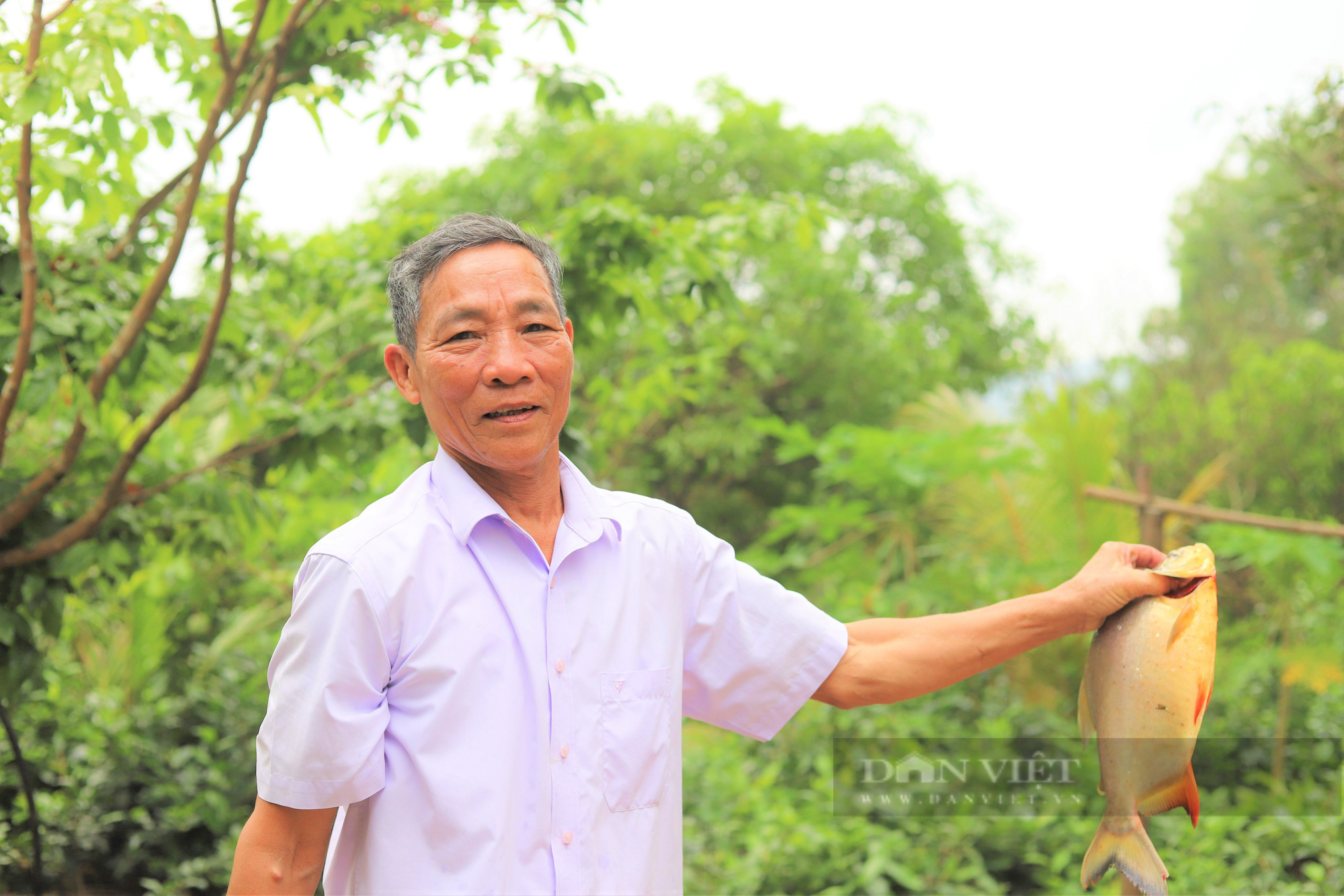 Tin Kinh tế: Biến đất hoang thành trang trại tiền tỷ, cả làng ở Hà Tĩnh phục lăn ông nông dân “khùng”