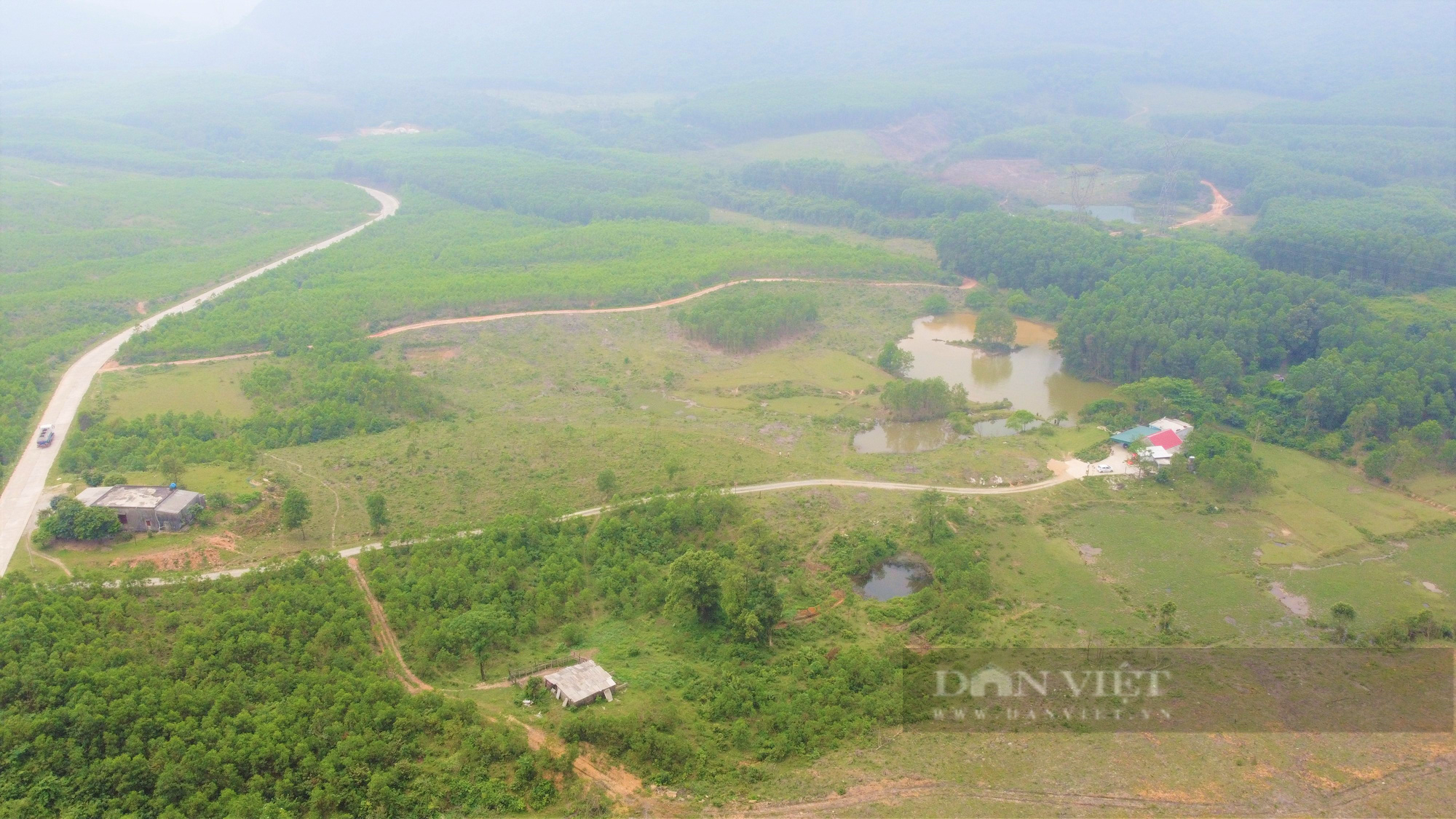 Hà Tĩnh: Nể phục thương binh cả làng cho là “khùng” biến đồi hoang thành trang trại thu về 1 tỷ đồng/năm - Ảnh 3.