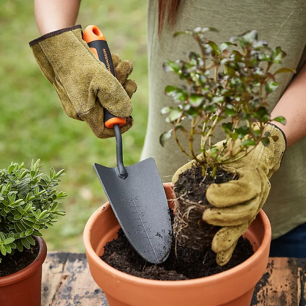 Fertilize bonsai this way, make sure the bonsai is good, the flowers and leaves are brilliant - Photo 7.