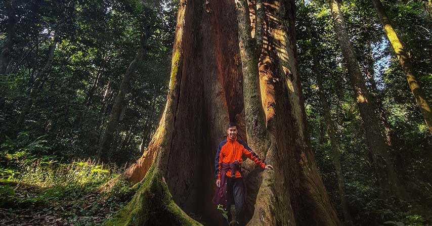 Ninh Binh develops a green tourism population with the largest number of bamboo trees in Southeast Asia