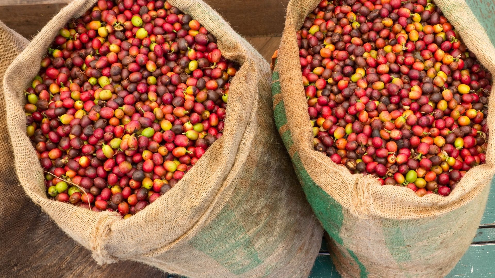 Giá nông sản hôm nay 26/4: Cà phê đồng loạt giảm mạnh, robusta kỳ hạn mất hơn 4%; tiêu tăng trở lại - Ảnh 3.