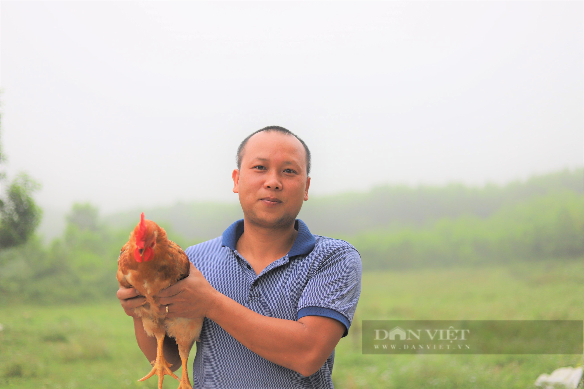 Hà Tĩnh: Thanh niên gác bằng cử nhân kinh tế, về quê nuôi gà ri sạch, thu tiền tỷ mỗi năm  - Ảnh 2.