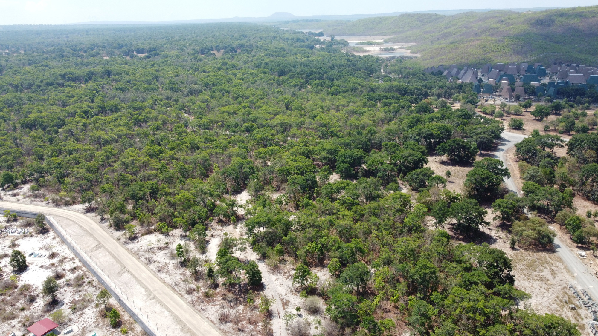 Bộ Công an tiếp tục kiểm tra, thực địa dự án rừng dầu Hồng Liêm của Tập đoàn Rạng Đông ở Bình Thuận - Ảnh 1.
