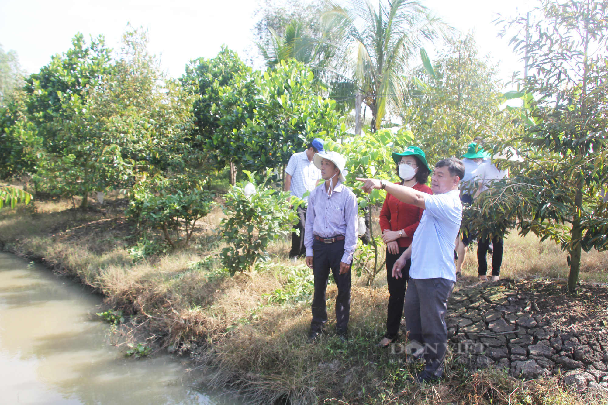 Phó Chủ tịch Hội NDVN Bùi Thị Thơm: Cần quan tâm hơn đến câu chuyện tiêu thụ nông sản cho nông dân Hậu Giang - Ảnh 3.