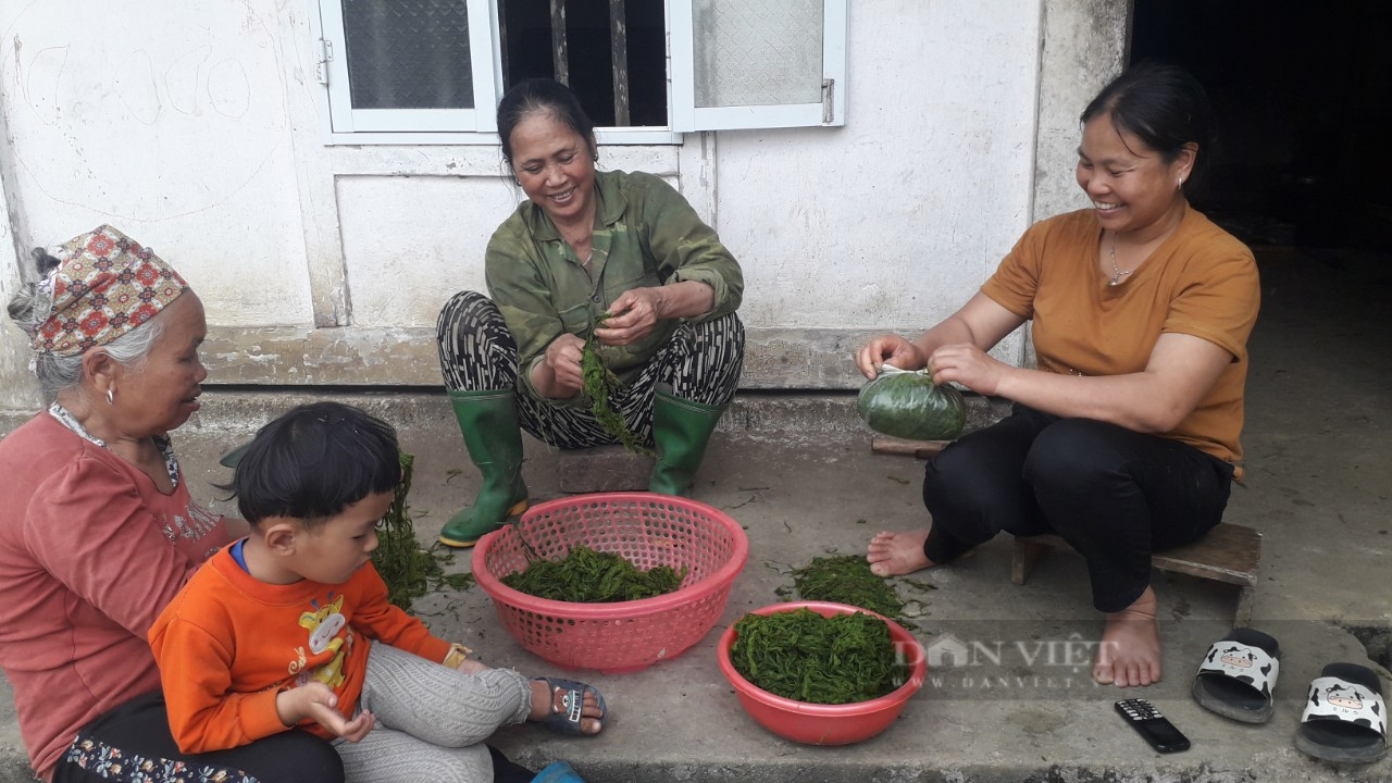 Độc đáo món ăn đặc sản mọc trên đá nơi bờ suối chỉ có ở Tây Bắc, ăn vào có vị bùi, lạ miệng - Ảnh 4.