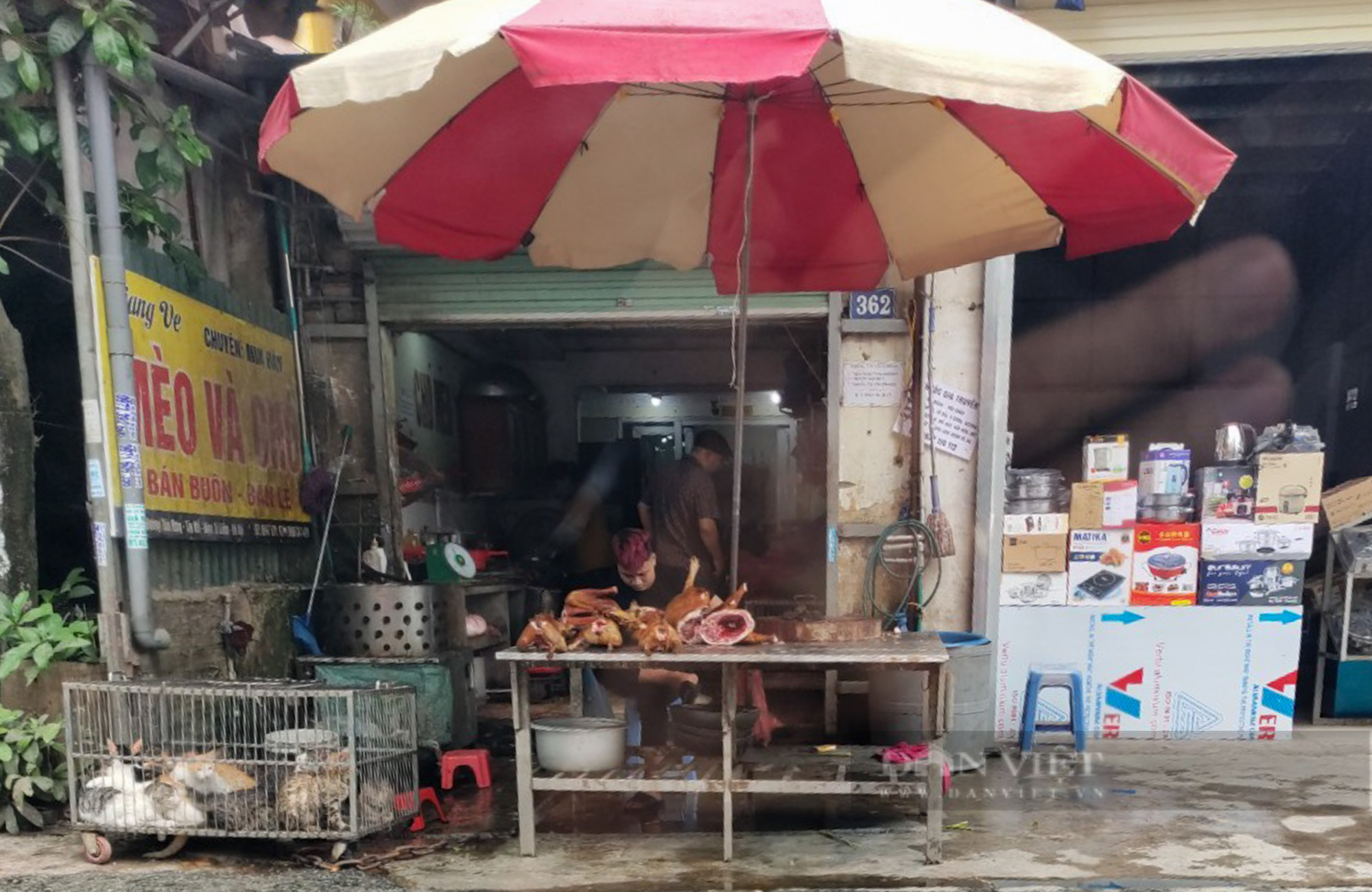 Phố nổi tiếng kinh doanh thịt chó mèo lớn nhất ở Hà Nội, mỗi ngày giết thịt cả trăm con - Ảnh 2.