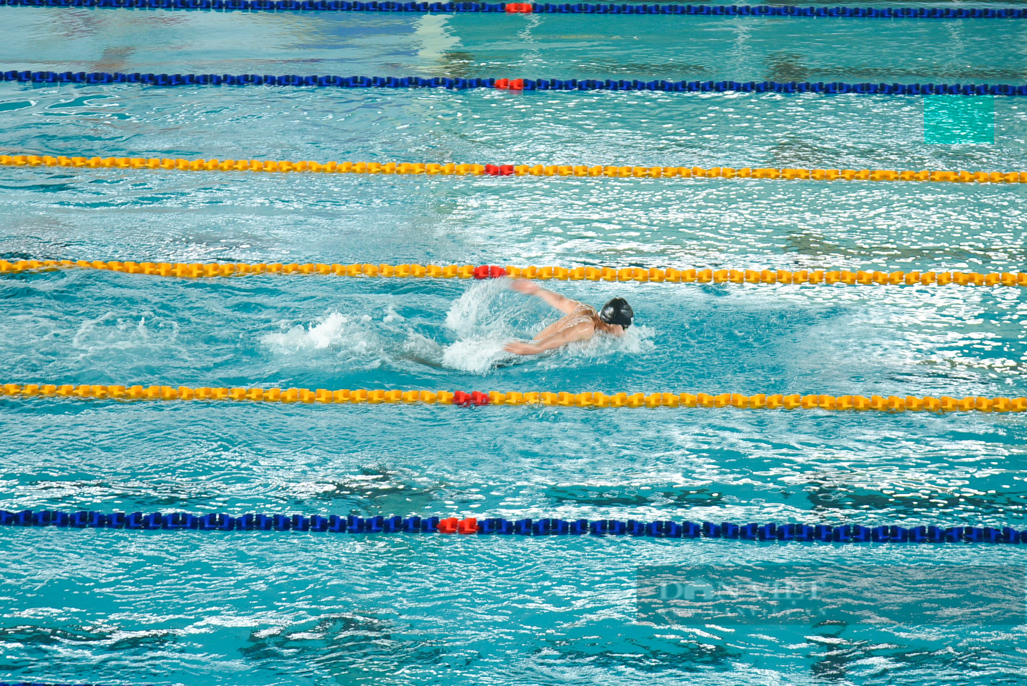 Các kình ngư căng mình luyện tập trên đường đua xanh, sẵn sàng &quot;săn vàng&quot; tại SEA Games 31 - Ảnh 12.