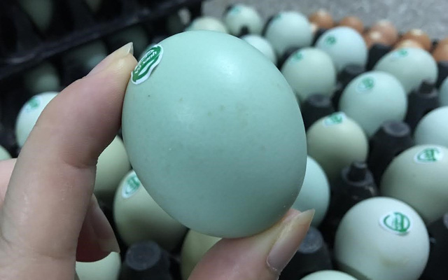 Loại trứng gà được ví như “nhân sâm” có gì đặc biệt mà giá cao hơn hẳn trứng gà thường? - Ảnh 2.