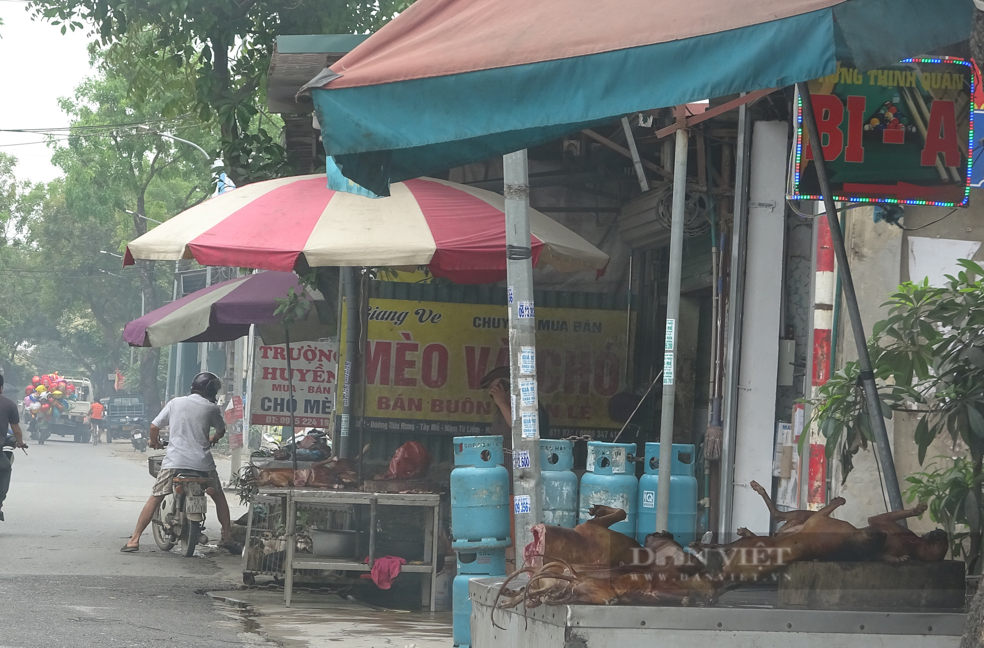 Phố nổi tiếng kinh doanh thịt chó mèo lớn nhất ở Hà Nội, mỗi ngày giết thịt cả trăm con - Ảnh 1.